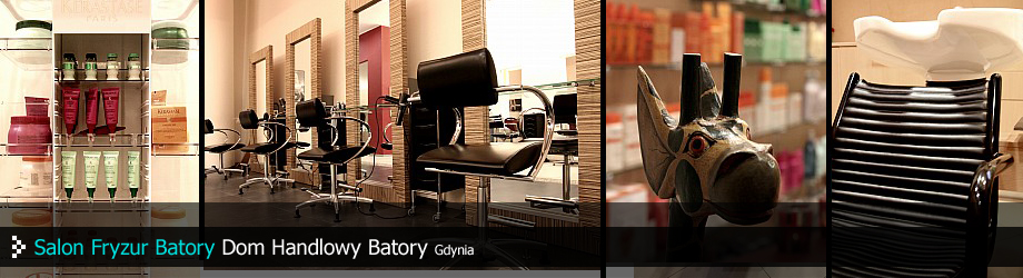 Salon Batory